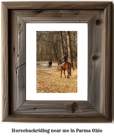 horseback riding near me in Parma, Ohio